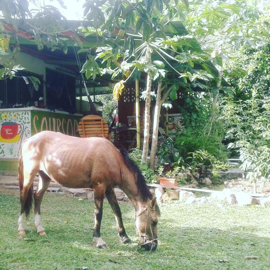 Soursop Hostel Cueta Ngoại thất bức ảnh